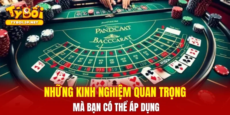 Những kinh nghiệm quan trọng mà bạn có thể áp dụng